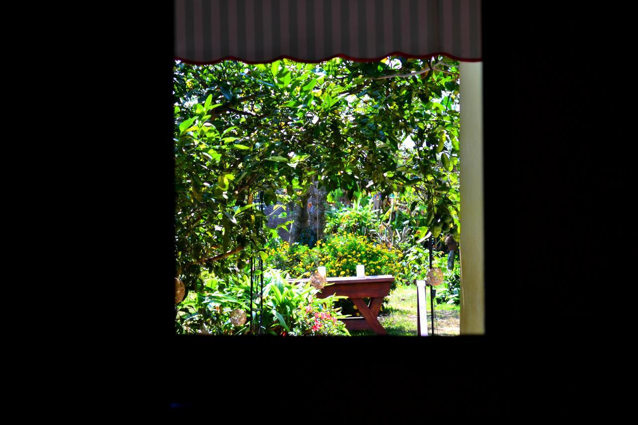 Hotel Casa Aura การ์ตาโก ภายนอก รูปภาพ