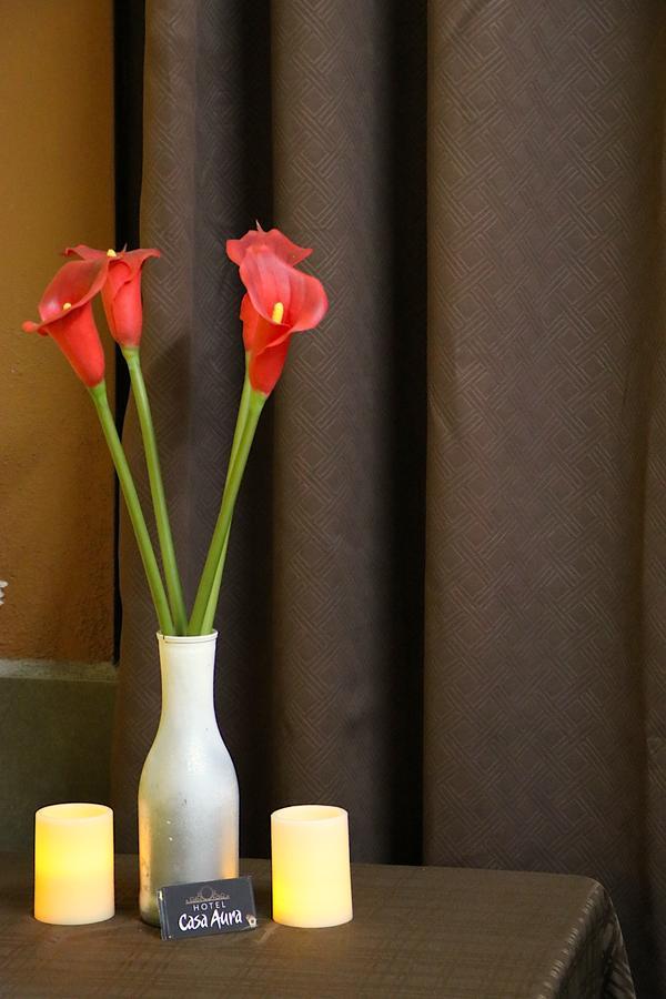 Hotel Casa Aura การ์ตาโก ภายนอก รูปภาพ