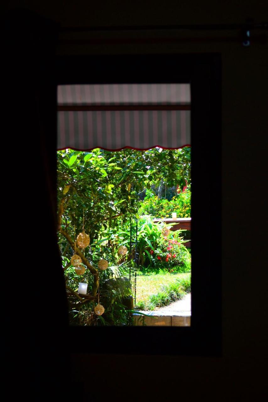 Hotel Casa Aura การ์ตาโก ภายนอก รูปภาพ